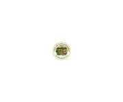 City of San Leandro Logo
